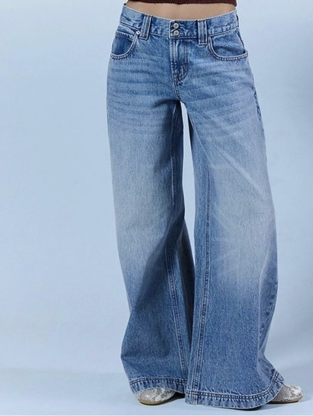 Pacsun Sloane Ultra Baggy Wide Leg Jeans